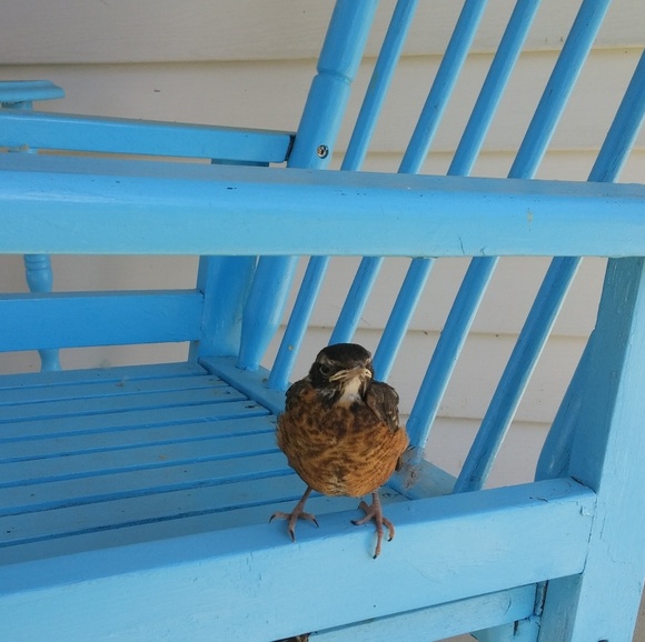 Meet your Posher, Brooke - Picture 1 of 1